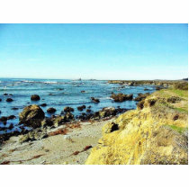 Beach Coast In Monterey Ocean Water Sea Photo Cutout