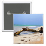 Beach drift wood pins