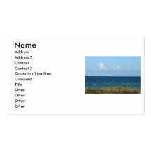 Beach dune with blue water and sky, Florida Business Card