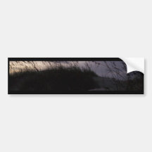 Beach Dunes Bumper Stickers