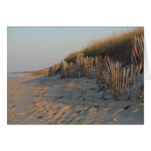 Beach Fence Cards
