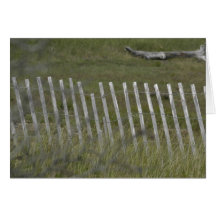 Beach Fence Cards