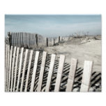 Beach Fence