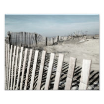 Beach Fence
