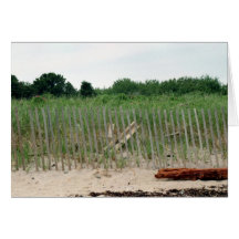 Beach Front Card