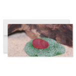 Beach Glass Christmas Photo Card