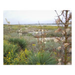 Beach in Autumn Photograph