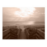 Beach in Florida Post Cards