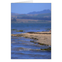 Beach In The Bay Greeting Cards
