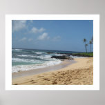 Beach Kauai poster