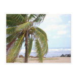 Beach of Dorado with Palm Post Cards