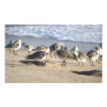 Beach Party. Sebastian Inlet. Photographic Print