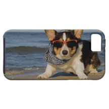 Beach Patrol Officer iPhone 5 Cases