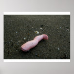 Beach pollution broken doll leg on sand print