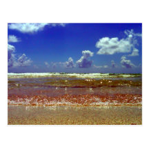 ~Beach~ POSTCARD, CUSTOMIZE IT!