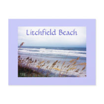 BEACH POSTCARD, Litchfield Beach