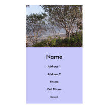 beach scene business card