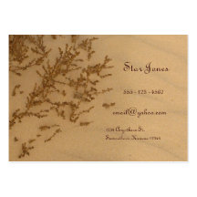Beach Scene business card