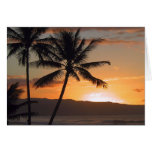 beach scene palm trees greeting cards