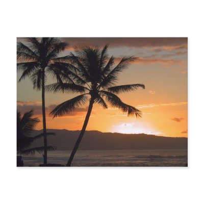 beach scene palm trees postcards by partypassion