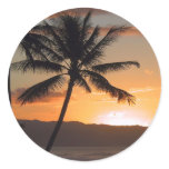 beach scene palm trees sticker