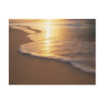 beach scene post card