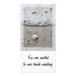 Beach seashell invitation photocard picture card