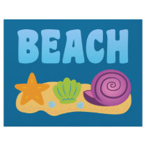 Beach Seashells