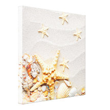 Beach Shells And Conch Starfish  Stretched Canvas  Gallery Wrapped Canvas