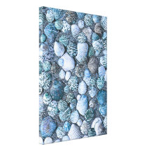 Beach Shells And Conch   Stretched Canvas Print