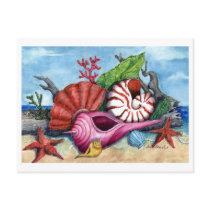 Beach Shells Painting Postcard