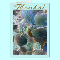 Beach Shells Thank You card cards