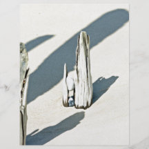 Beach strand flyer