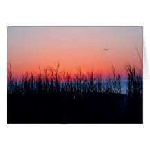 Beach Sunrise Notecard