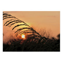 Beach Sunset In Florida - ACEO 15 Business Card