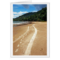 beach tracks cards