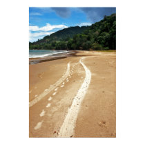 beach tracks posters