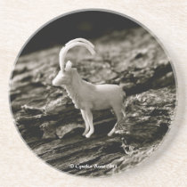 Beach Treasure coasters