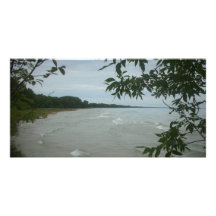 Beach Tree Frame Custom Photo Card