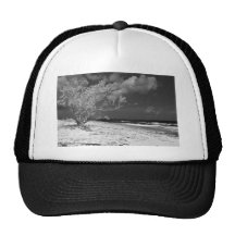 Beach tree mesh hats