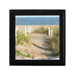 Beach walk dune roped off Florida Beach Colour