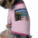Beach With A Palm Tree In Albania In A Hot Summer Pet Shirt