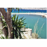 Beach With A Palm Tree In Albania In A Hot Summer Cut Out
