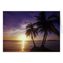 Beaches at Negril, Jamaica 3 Cards