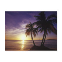 Beaches at Negril, Jamaica 3 Post Cards