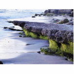Beaches Ocean Waves photo sculptures
