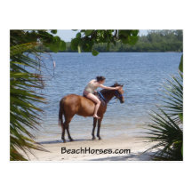BeachHorses.com Postcard