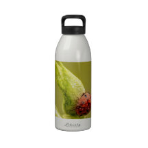 Beaded Lady Reusable Water Bottles