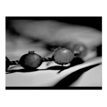 Beads Postcard