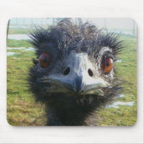 Beady Eyes EMU